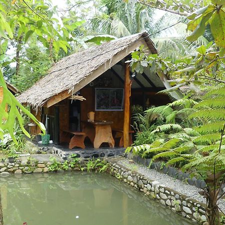 Magpie Homestay & Jungle Trekking Especially For Guest Trekking With Us Bukit Lawang Dış mekan fotoğraf