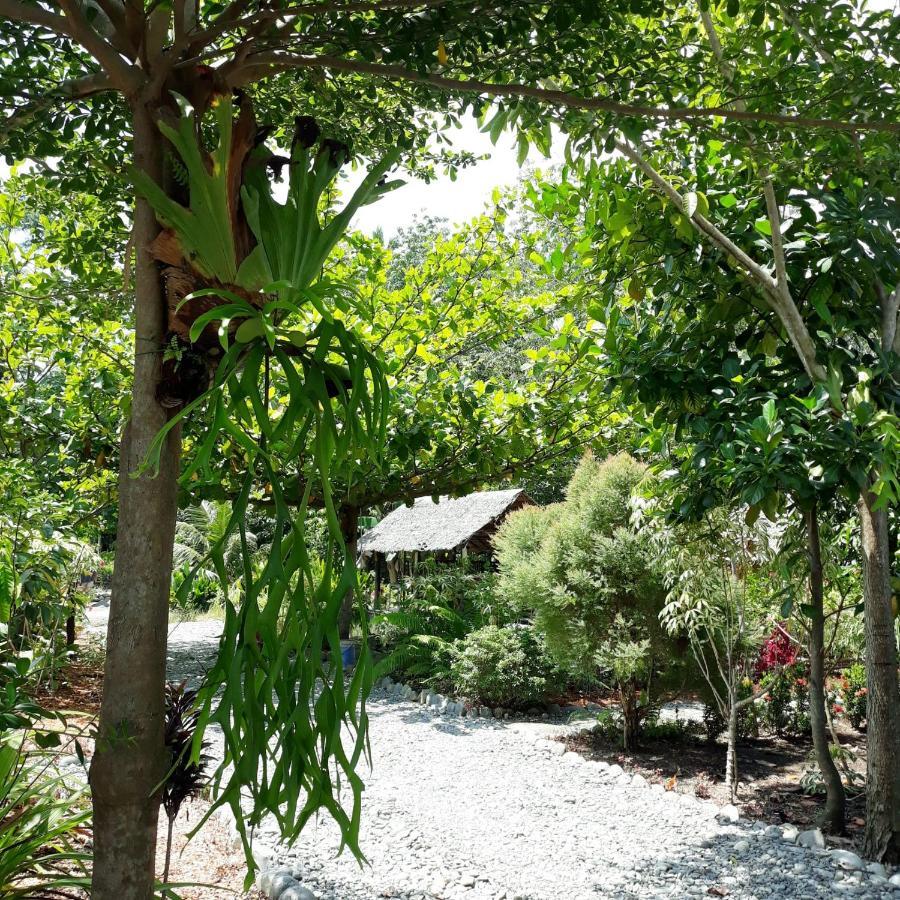 Magpie Homestay & Jungle Trekking Especially For Guest Trekking With Us Bukit Lawang Dış mekan fotoğraf