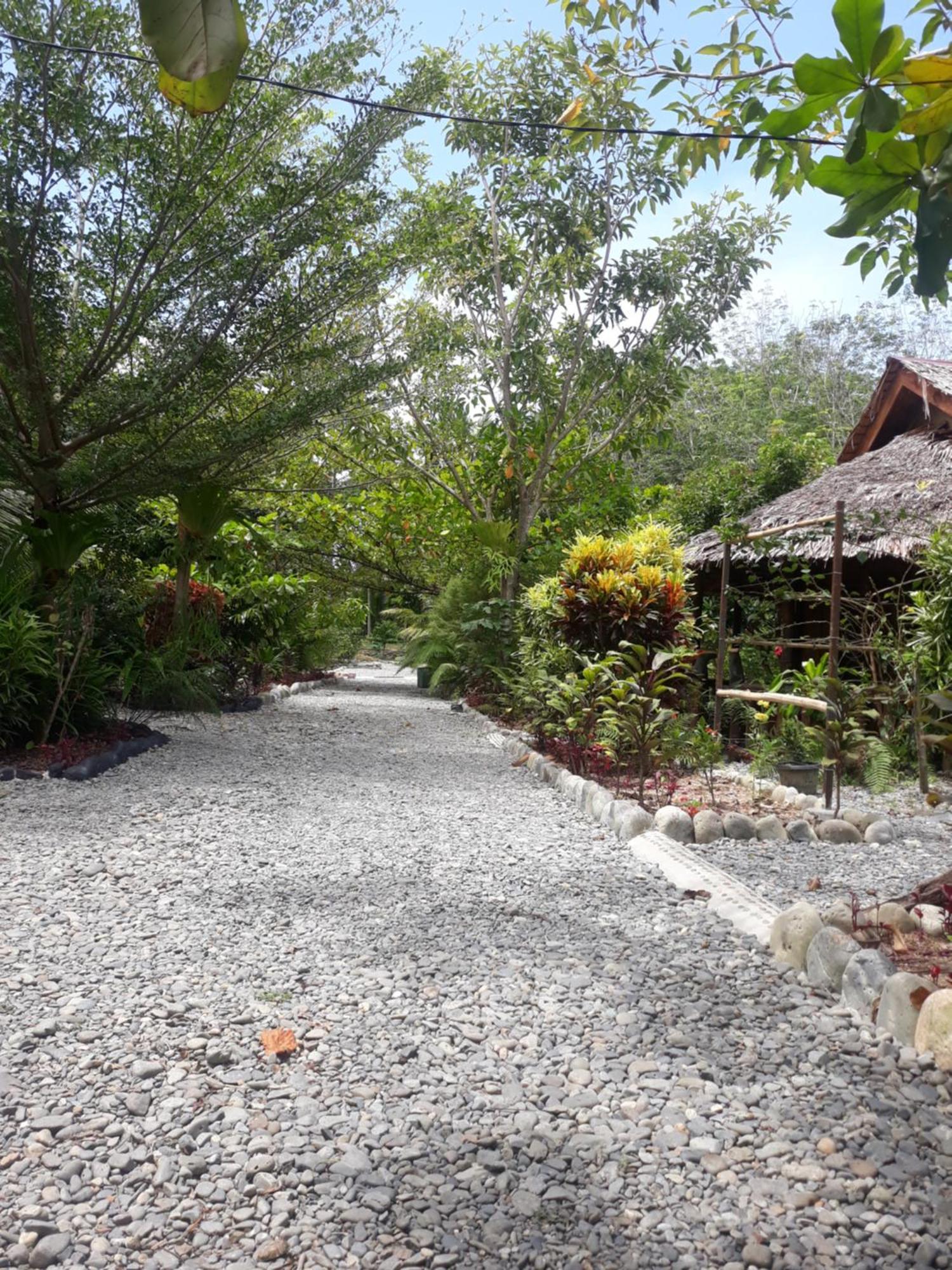 Magpie Homestay & Jungle Trekking Especially For Guest Trekking With Us Bukit Lawang Dış mekan fotoğraf