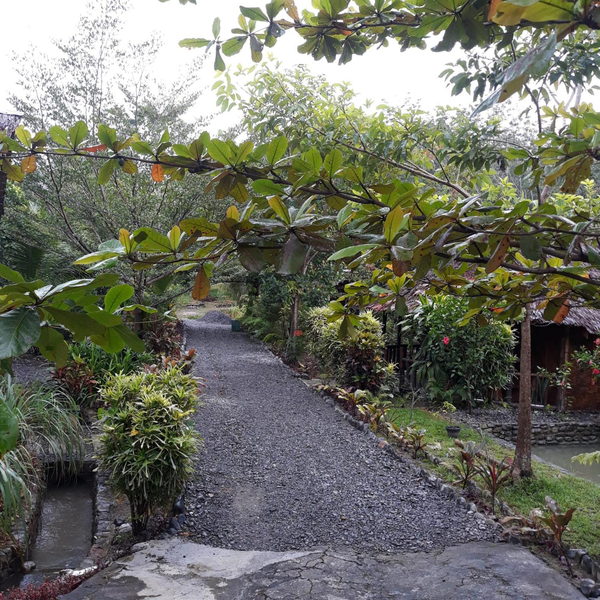 Magpie Homestay & Jungle Trekking Especially For Guest Trekking With Us Bukit Lawang Oda fotoğraf
