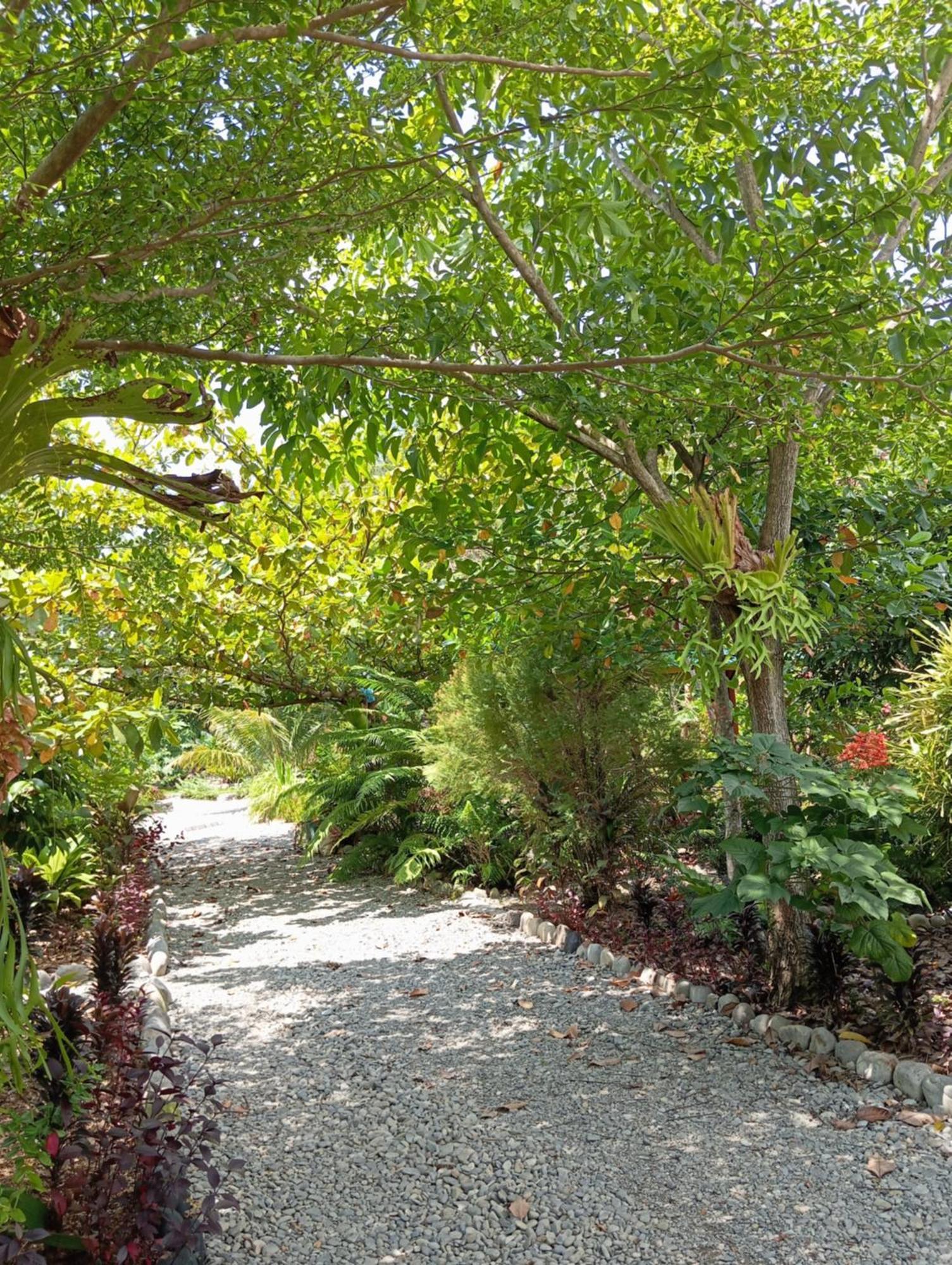 Magpie Homestay & Jungle Trekking Especially For Guest Trekking With Us Bukit Lawang Dış mekan fotoğraf
