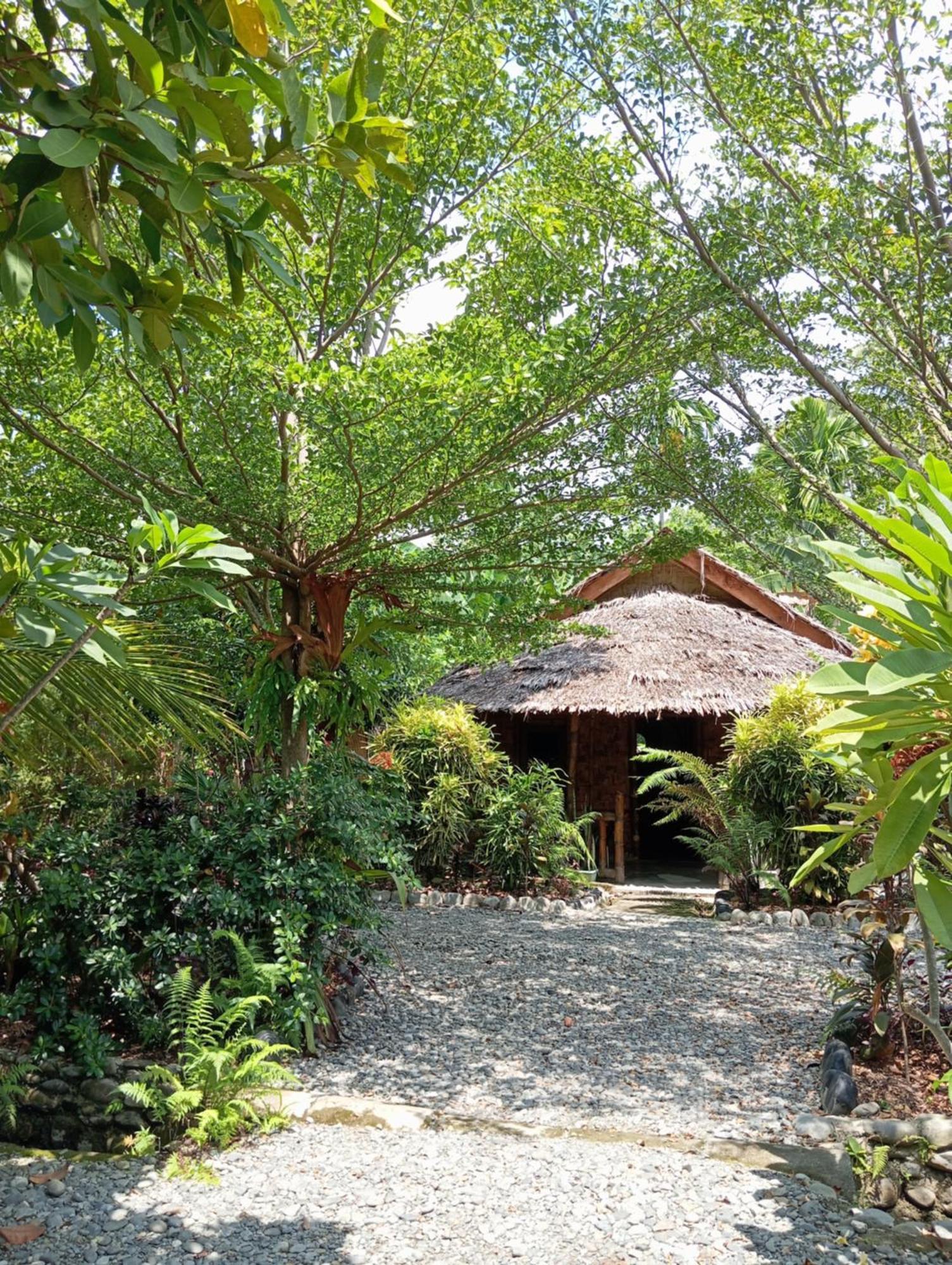 Magpie Homestay & Jungle Trekking Especially For Guest Trekking With Us Bukit Lawang Dış mekan fotoğraf