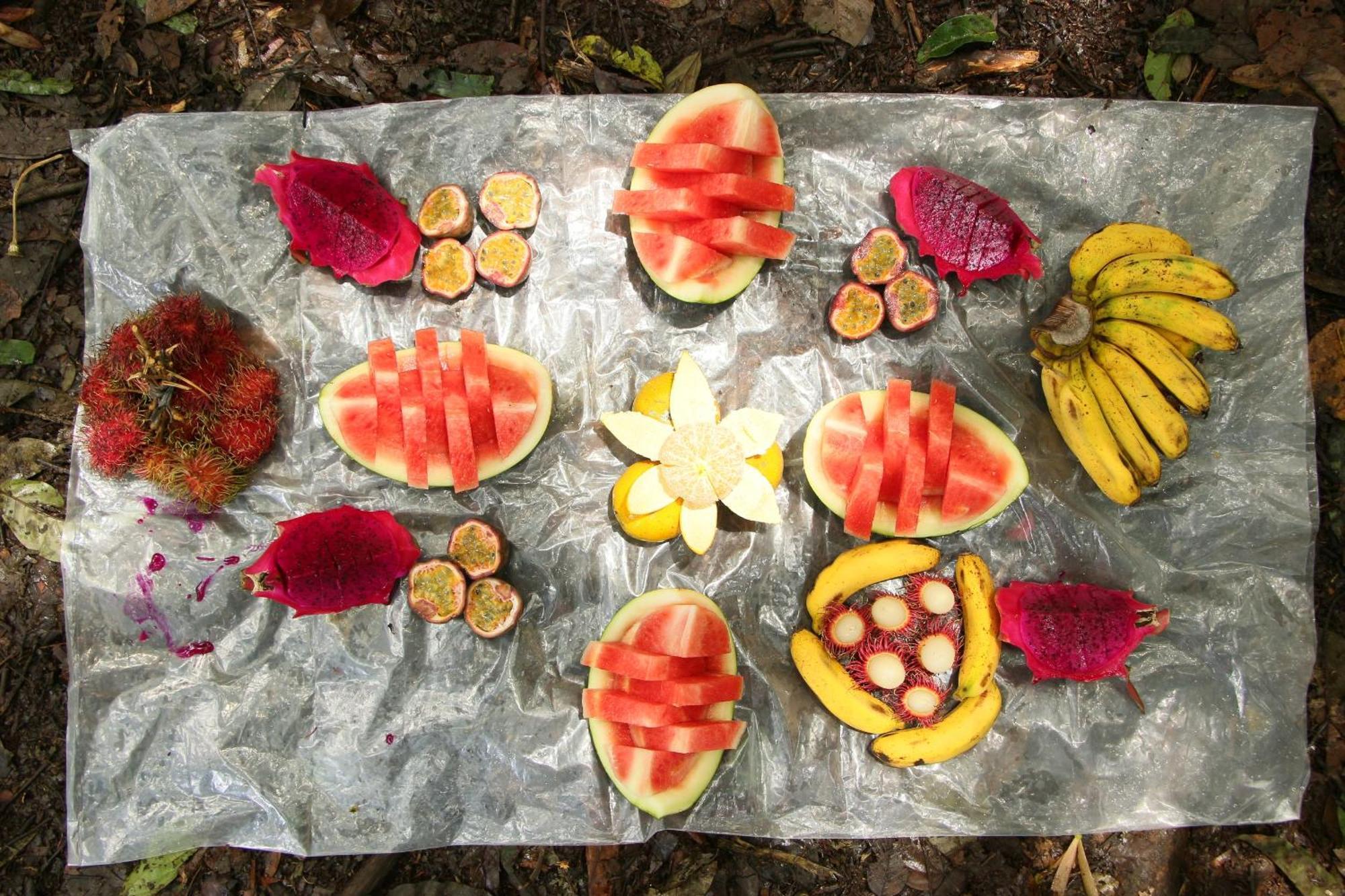 Magpie Homestay & Jungle Trekking Especially For Guest Trekking With Us Bukit Lawang Dış mekan fotoğraf