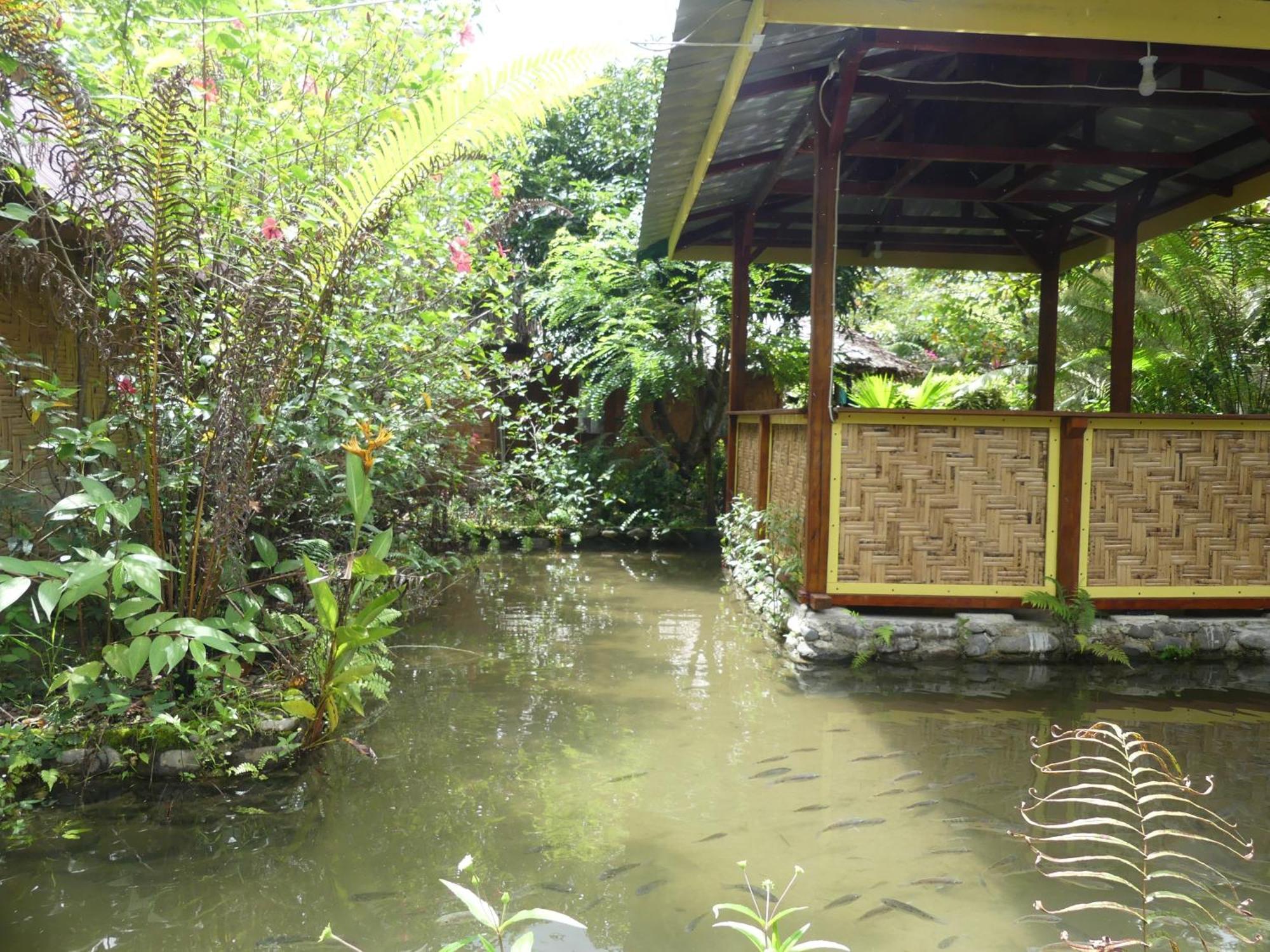 Magpie Homestay & Jungle Trekking Especially For Guest Trekking With Us Bukit Lawang Oda fotoğraf