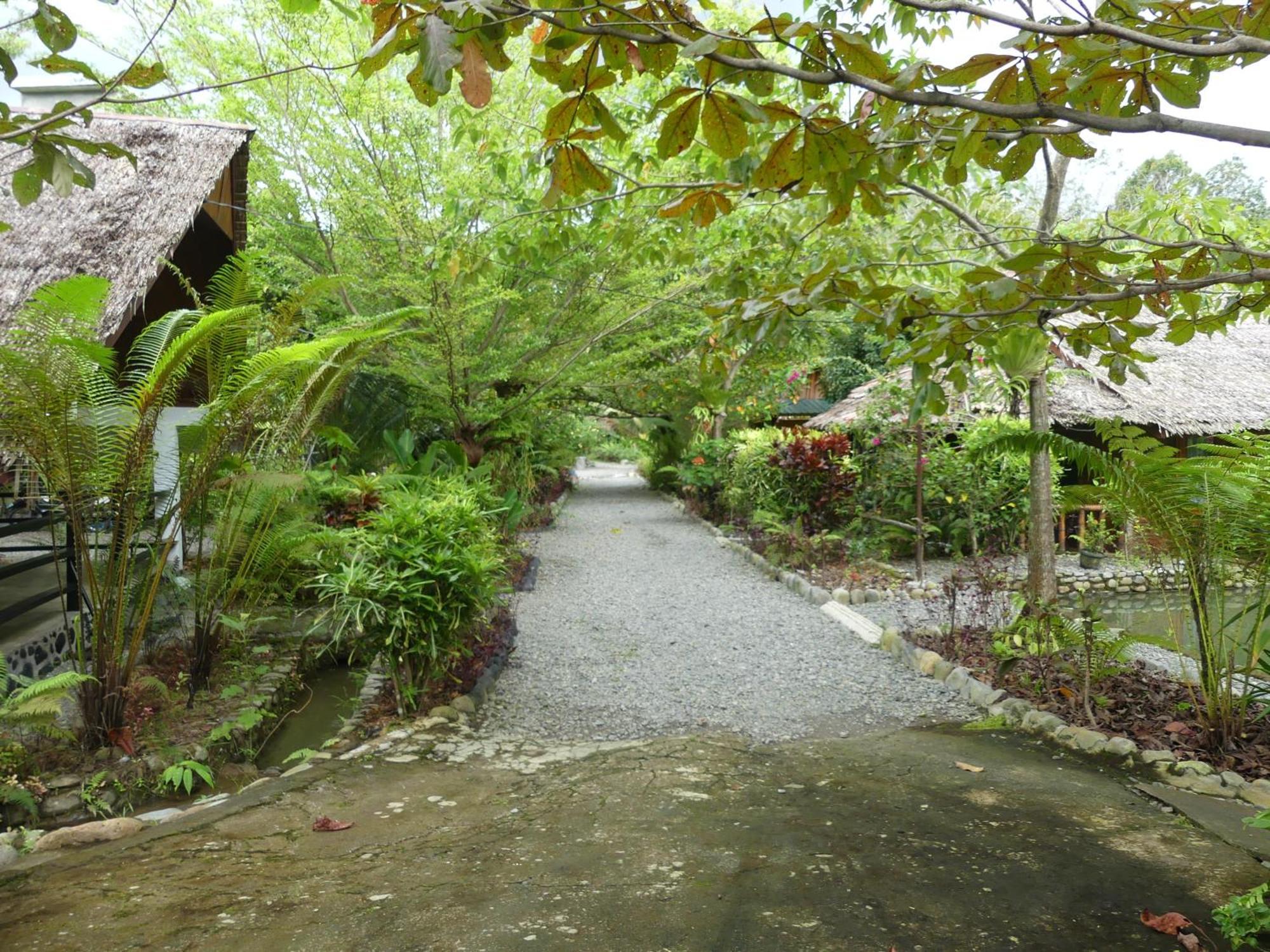 Magpie Homestay & Jungle Trekking Especially For Guest Trekking With Us Bukit Lawang Dış mekan fotoğraf