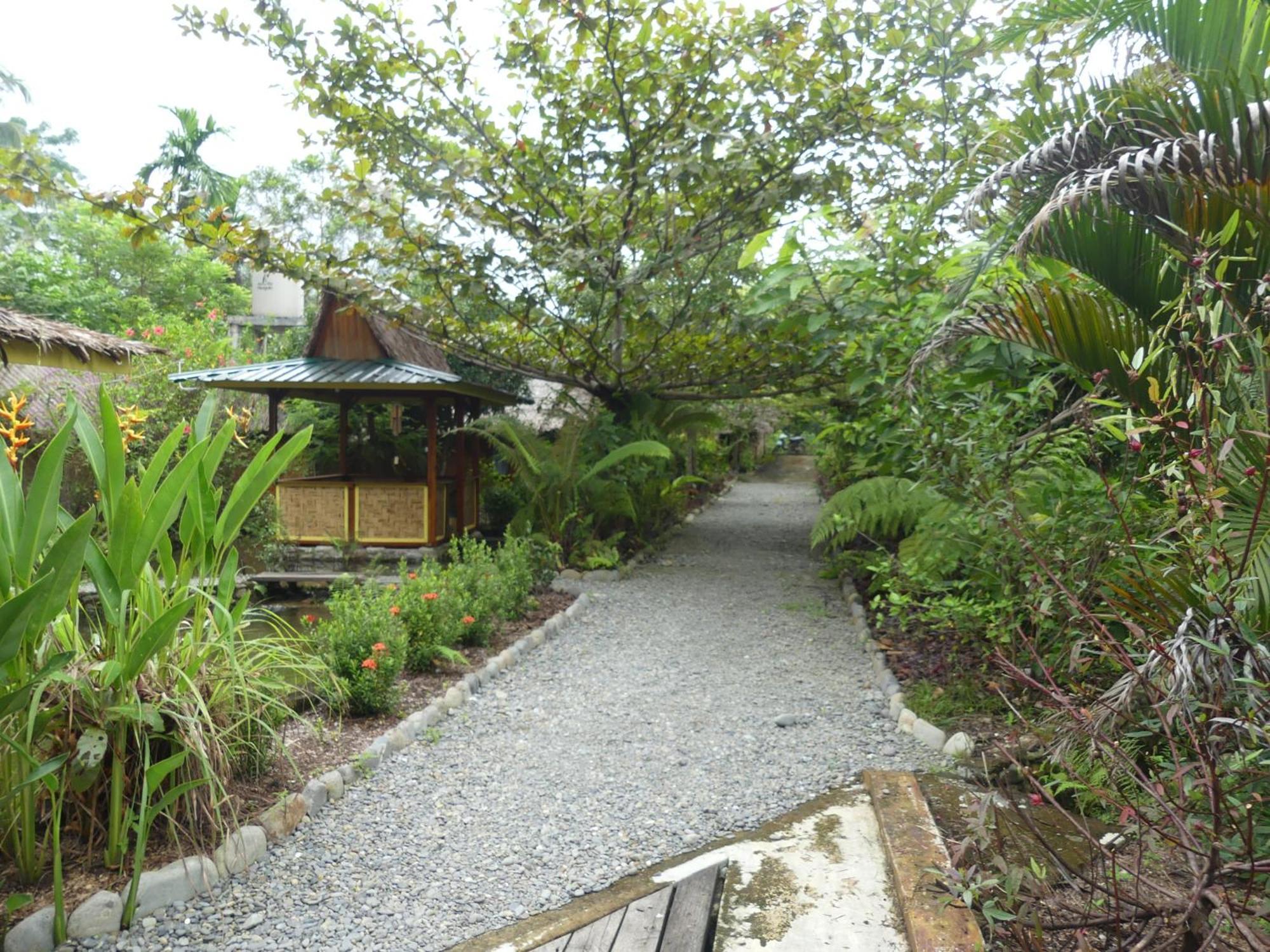 Magpie Homestay & Jungle Trekking Especially For Guest Trekking With Us Bukit Lawang Oda fotoğraf