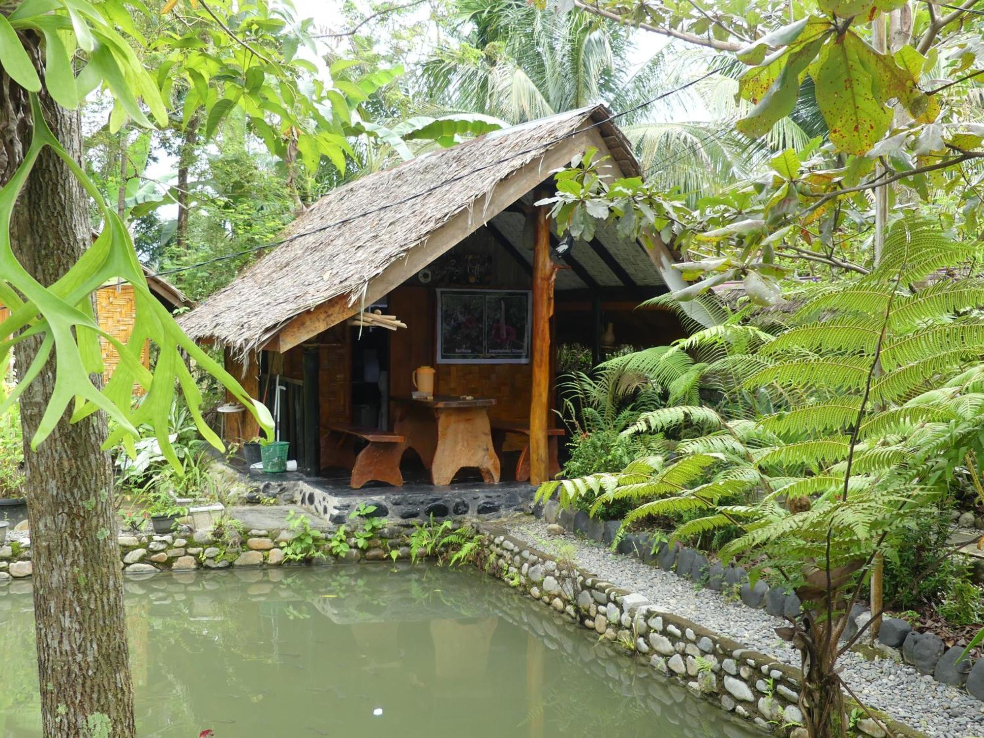Magpie Homestay & Jungle Trekking Especially For Guest Trekking With Us Bukit Lawang Dış mekan fotoğraf